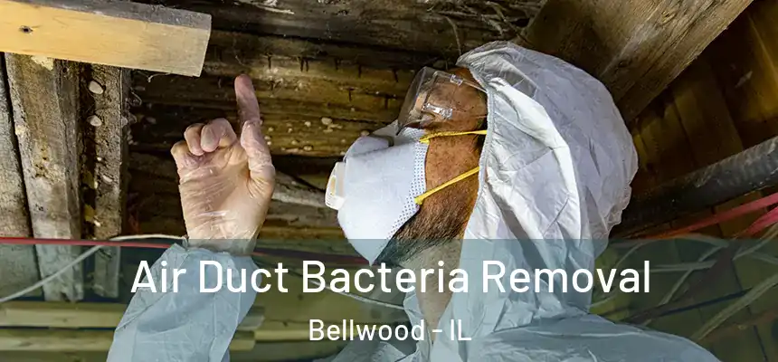  Air Duct Bacteria Removal Bellwood - IL