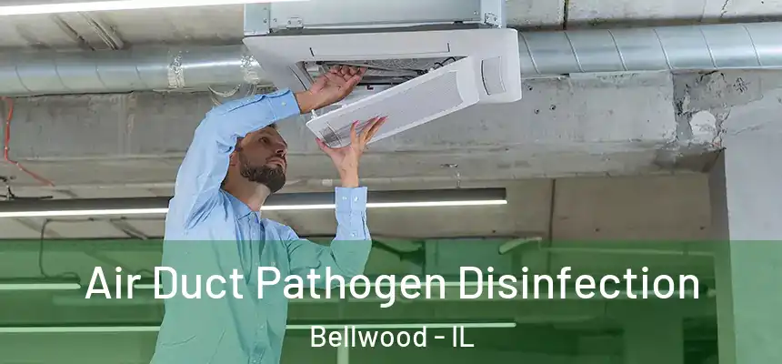  Air Duct Pathogen Disinfection Bellwood - IL