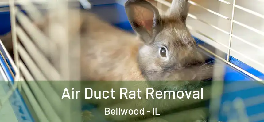 Air Duct Rat Removal Bellwood - IL
