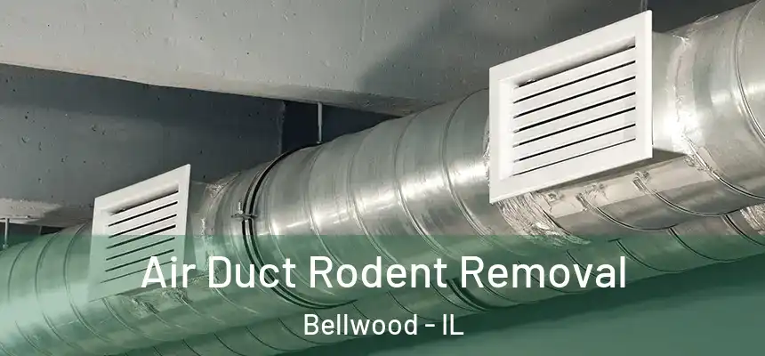  Air Duct Rodent Removal Bellwood - IL