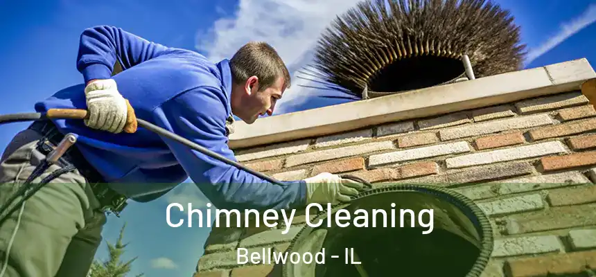  Chimney Cleaning Bellwood - IL