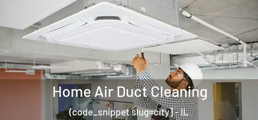  Home Air Duct Cleaning (code_snippet slug=city] - IL