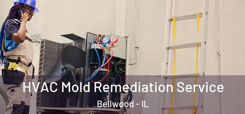  HVAC Mold Remediation Service Bellwood - IL