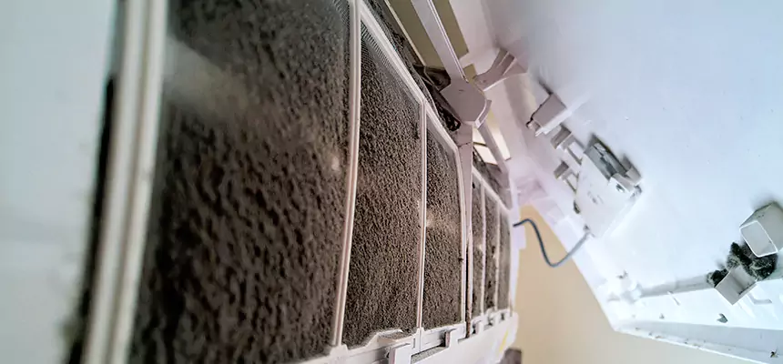 Preventive Air Duct Bacteria Removal in Bellwood