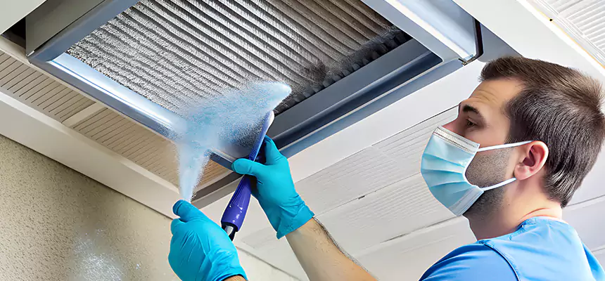 Proactive Dryer Vent & Auxiliary Duct Pollen Cleanup in Bellwood, IL