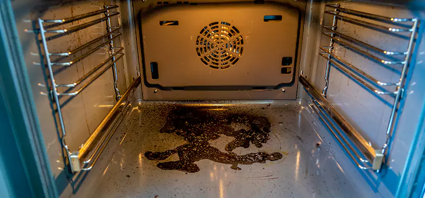 Our Dryer Vent Mold Cleaning Services in Bellwood, IL