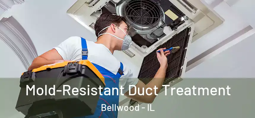  Mold-Resistant Duct Treatment Bellwood - IL