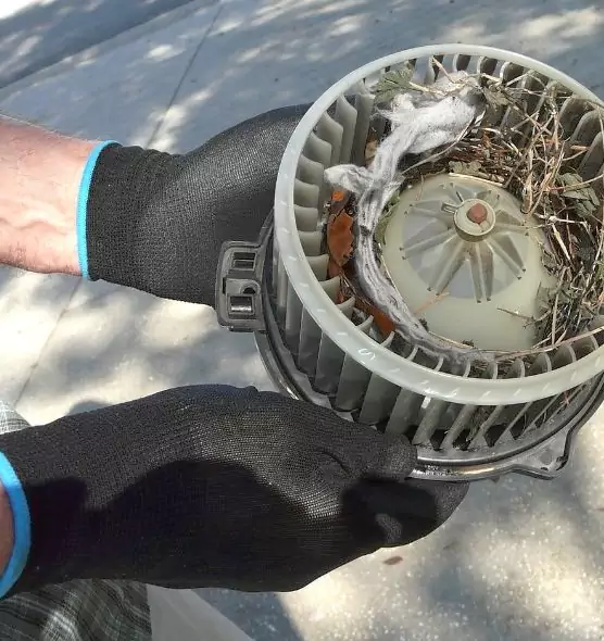 About Air Duct Rat Removal in Bellwood, IL