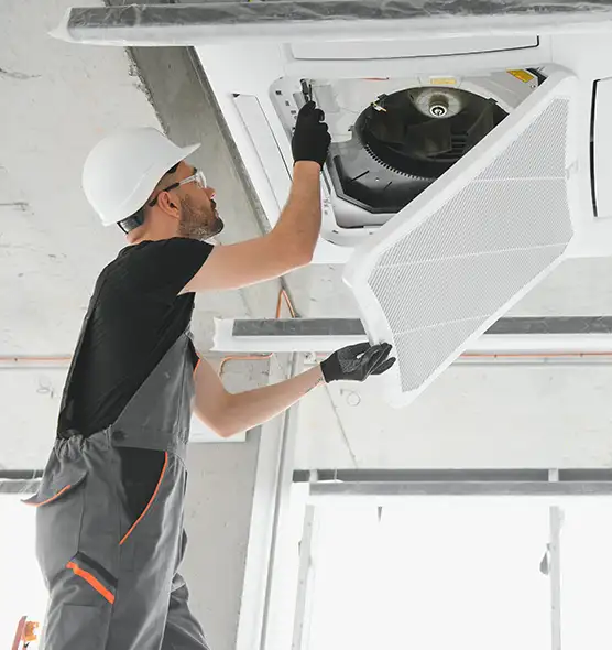 About Air Duct Rodent Removal in Bellwood, IL