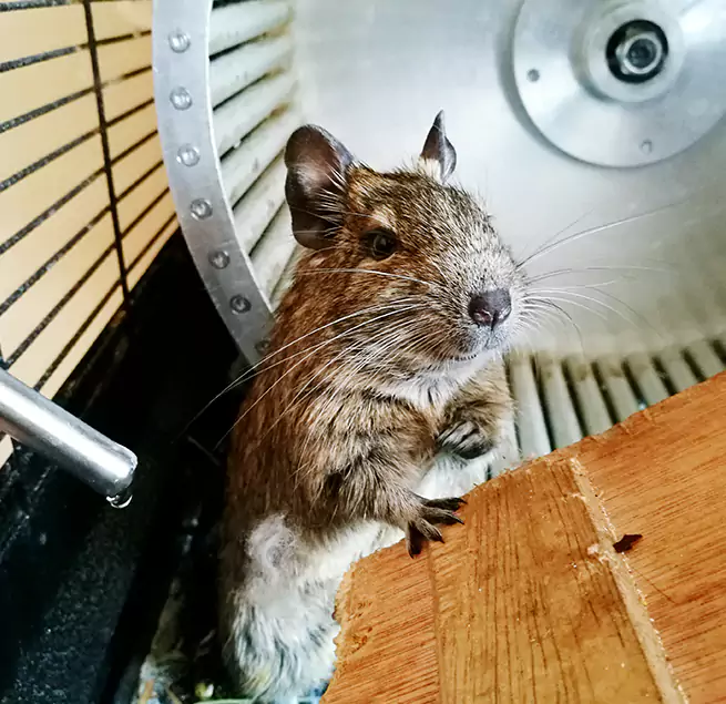 Why Homeowners & Businesses Trust Us Bellwood, IL