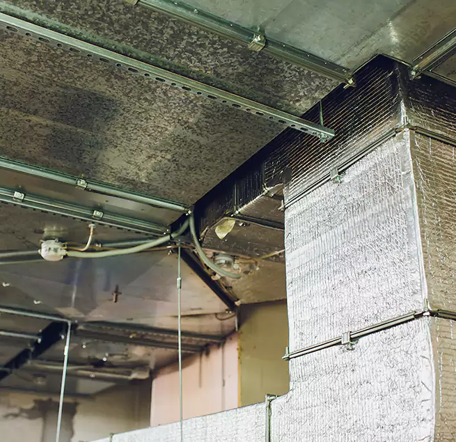 Why Homeowners & Businesses Trust Us in Bellwood, IL?